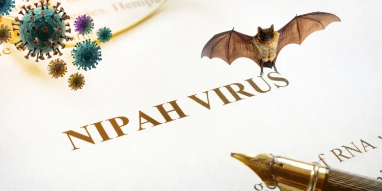 Nipah virus Kerala Kozhikode fresh case updates